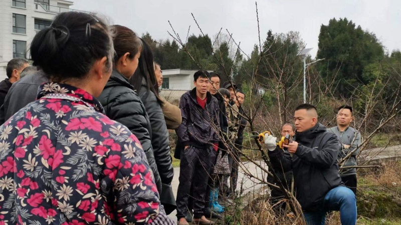 微信图片_20230307101349.jpg
