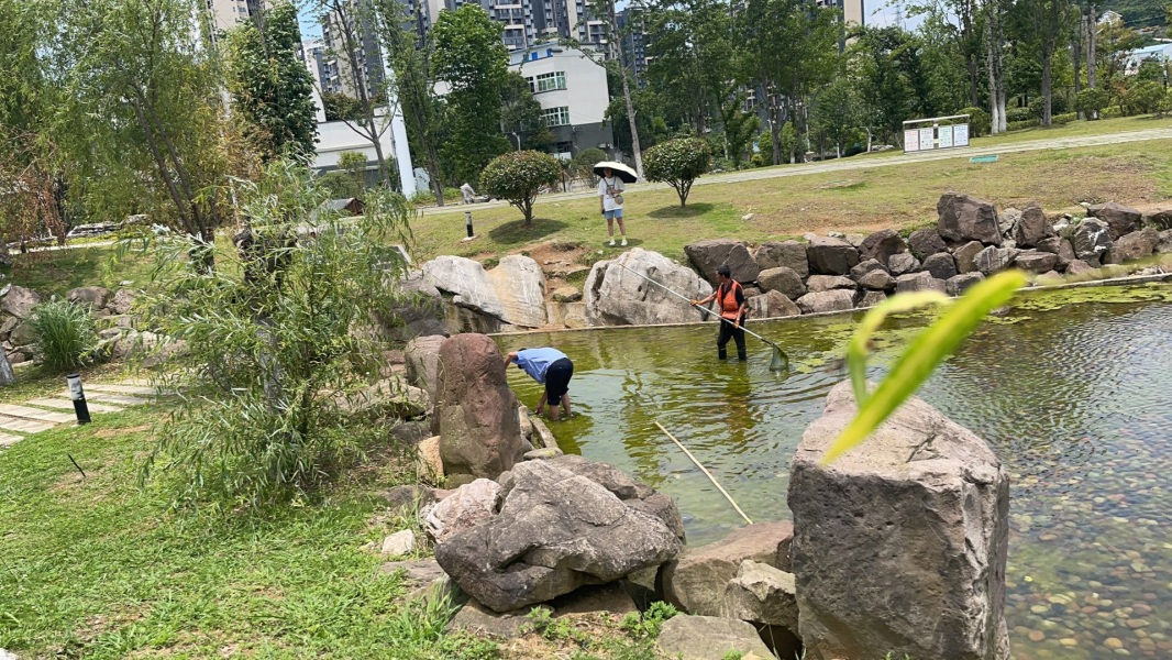 20230718100845-khb07q-20230717153117-ksG1T8-.jpeg