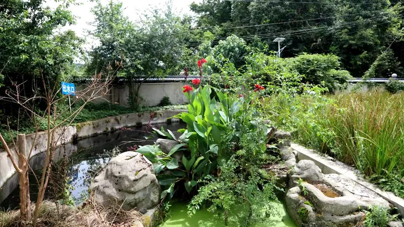 640.webp (1).png 640.webp (1).png