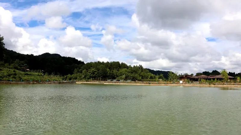 640.webp (2).png 640.webp (2).png