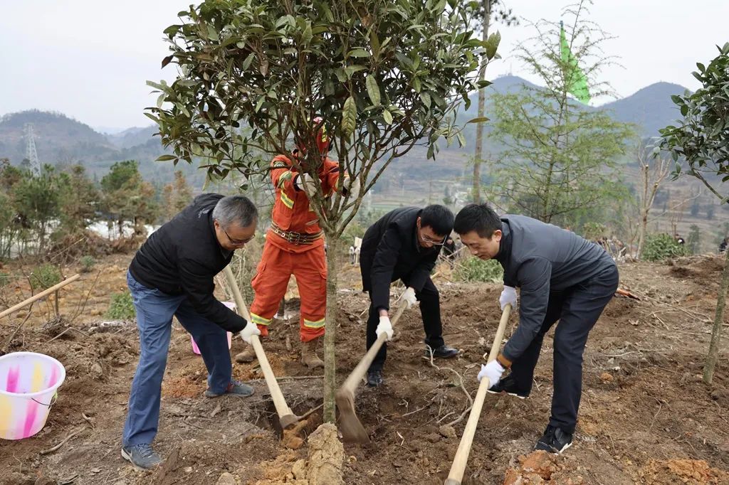 修文县开展2025年义务植树活动