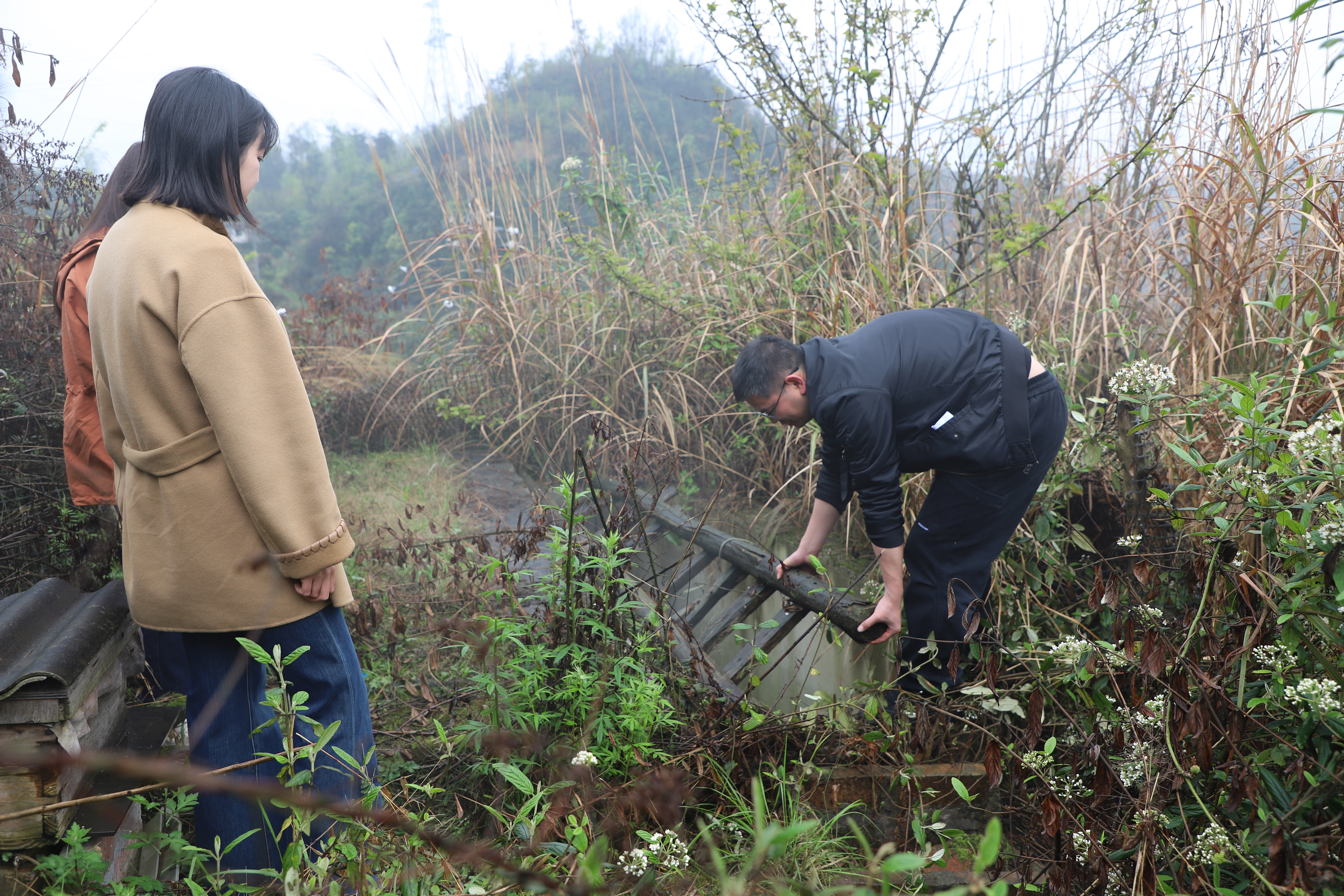 cae839b11b9f46e3a33ab5c1ceaa92e1.jpg cae839b11b9f46e3a33ab5c1ceaa92e1.jpg