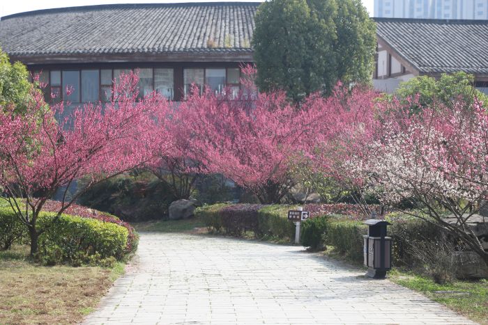 4e16321a56384fb4b9c40b1ef33a097d_s.jpg 4e16321a56384fb4b9c40b1ef33a097d_s.jpg